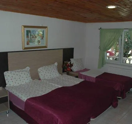 Ξενοδοχείο Altinkum 3*